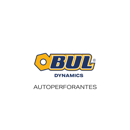 Bul Dynamics